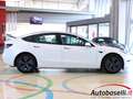 Tesla Model 3 RWD 'RESTYLING' AUTOMATICA, POTENZA DI PICCO 300CV Weiß - thumbnail 24
