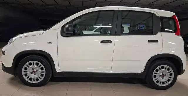 Fiat Panda view 6