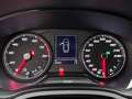 SEAT Ibiza 1.0 TSI FR Business Intense | Cruise Control | Sto Gris - thumbnail 16