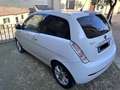 Lancia Ypsilon Ypsilon 1.3 mjt 16v Platino Bianco - thumbnail 1