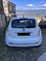 Lancia Ypsilon Ypsilon 1.3 mjt 16v Platino Bianco - thumbnail 4