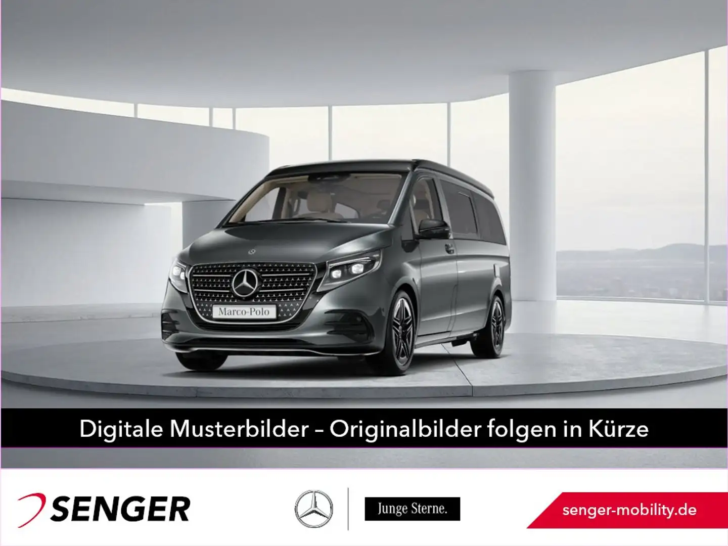 Mercedes-Benz Marco Polo 300 d 4x4 AMG Standheizung AHK2,5t 9G Grau - 1