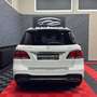 Mercedes-Benz GLE 350 GLE-Klasse GLE 350 d AMG Line 4Matic Austria Editi Weiß - thumbnail 7