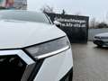 Skoda Octavia Combi 2,0 TDI Style | NP: € 40.000 Weiß - thumbnail 37