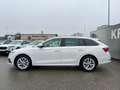Skoda Octavia Combi 2,0 TDI Style | NP: € 40.000 Weiß - thumbnail 6