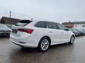 Skoda Octavia Combi 2,0 TDI Style | NP: € 40.000 Weiß - thumbnail 3