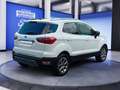 Ford EcoSport 1.0 EcoBoost TITANIUM WinterPk*Rückfahrkamera* Bianco - thumbnail 5