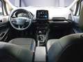 Ford EcoSport 1.0 EcoBoost TITANIUM WinterPk*Rückfahrkamera* Bianco - thumbnail 10