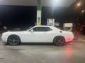 Dodge Challenger Challenger SXT+3.6 V6 . GLP. STP Blanco - thumbnail 3