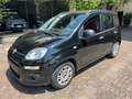 Fiat Panda 1.2 Benzina Neopatentati Nero - thumbnail 1
