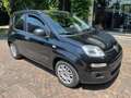 Fiat Panda 1.2 Benzina Neopatentati Nero - thumbnail 3