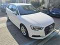 Audi A3 A3  Sportback 1.4 tfsi  IBRIDA Design s-tronic Bianco - thumbnail 3