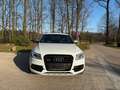 Audi SQ5 3.0 TDI quattro *TraumAusstattung*RS*Special Weiß - thumbnail 3