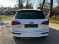 Audi SQ5 3.0 TDI quattro *TraumAusstattung*RS*Special Weiß - thumbnail 4