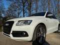 Audi SQ5 3.0 TDI quattro *TraumAusstattung*RS*Special Weiß - thumbnail 12