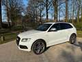 Audi SQ5 3.0 TDI quattro *TraumAusstattung*RS*Special Weiß - thumbnail 5