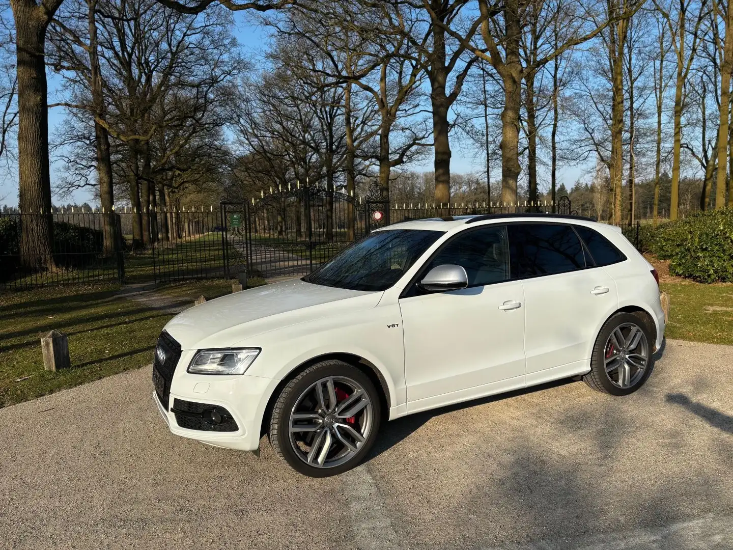 Audi SQ5 3.0 TDI quattro *TraumAusstattung*RS*Special Weiß - 1