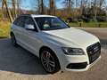Audi SQ5 3.0 TDI quattro *TraumAusstattung*RS*Special Weiß - thumbnail 8