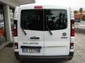 Fiat Talento 9 Posti 2.0 120HP Bianco - thumbnail 6