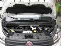 Fiat Talento 9 Posti 2.0 120HP Blanc - thumbnail 21