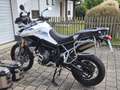 Triumph Tiger 900 Rally Pro Weiß - thumbnail 5