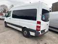 Mercedes-Benz Sprinter 313 CDI Sprinter *ROLSTOELLIFT*8+1* Wit - thumbnail 3