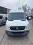 Mercedes-Benz Sprinter 313 CDI Sprinter *ROLSTOELLIFT*8+1* Wit - thumbnail 6