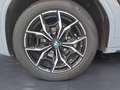 BMW X3 xDrive20d AT M Sportpaket Innovationsp. AHK Gris - thumbnail 12