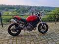 Ducati Monster 696 Édition Monster Art Rouge - thumbnail 2