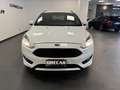 Ford Focus Focus SW 1.5 tdci ST-Line PACK SPORT NAVI Blanc - thumbnail 2