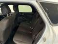 Ford Focus Focus SW 1.5 tdci ST-Line PACK SPORT NAVI Blanc - thumbnail 11