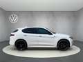 Alfa Romeo Stelvio Veloce Q4 Automatik Blanco - thumbnail 5