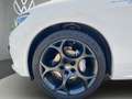Alfa Romeo Stelvio Veloce Q4 Automatik Blanco - thumbnail 20