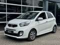 Kia Picanto 1.0 CVVT X-treme Weiß - thumbnail 4