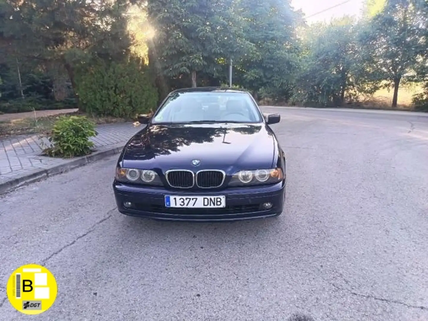 BMW 525 525i Futura Albastru - 2