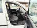 Hyundai i10 1.1 Style Klima 5-Tür Media Tüv 12.26 Weiß - thumbnail 19