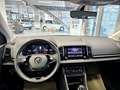 Skoda Karoq Selection Climatr.,Sitzhzg.,Alu,PDC,met. Roşu - thumbnail 18