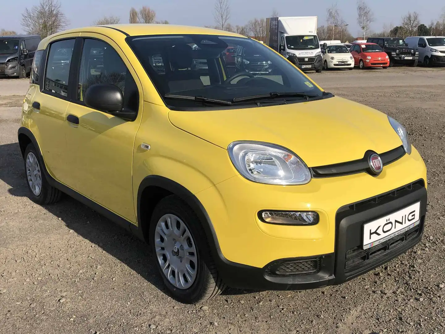 Fiat Panda MY24 1.0 Klima PDC Citypaket Gelb - 2
