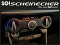 Kia Picanto 1,0 GDI Titan (5 Sitzer) Blau - thumbnail 17
