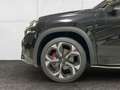 Skoda Kodiaq 2.0 RS 2.0 TSI HUD StandHZG AHK Trittbretter Kamer Schwarz - thumbnail 21