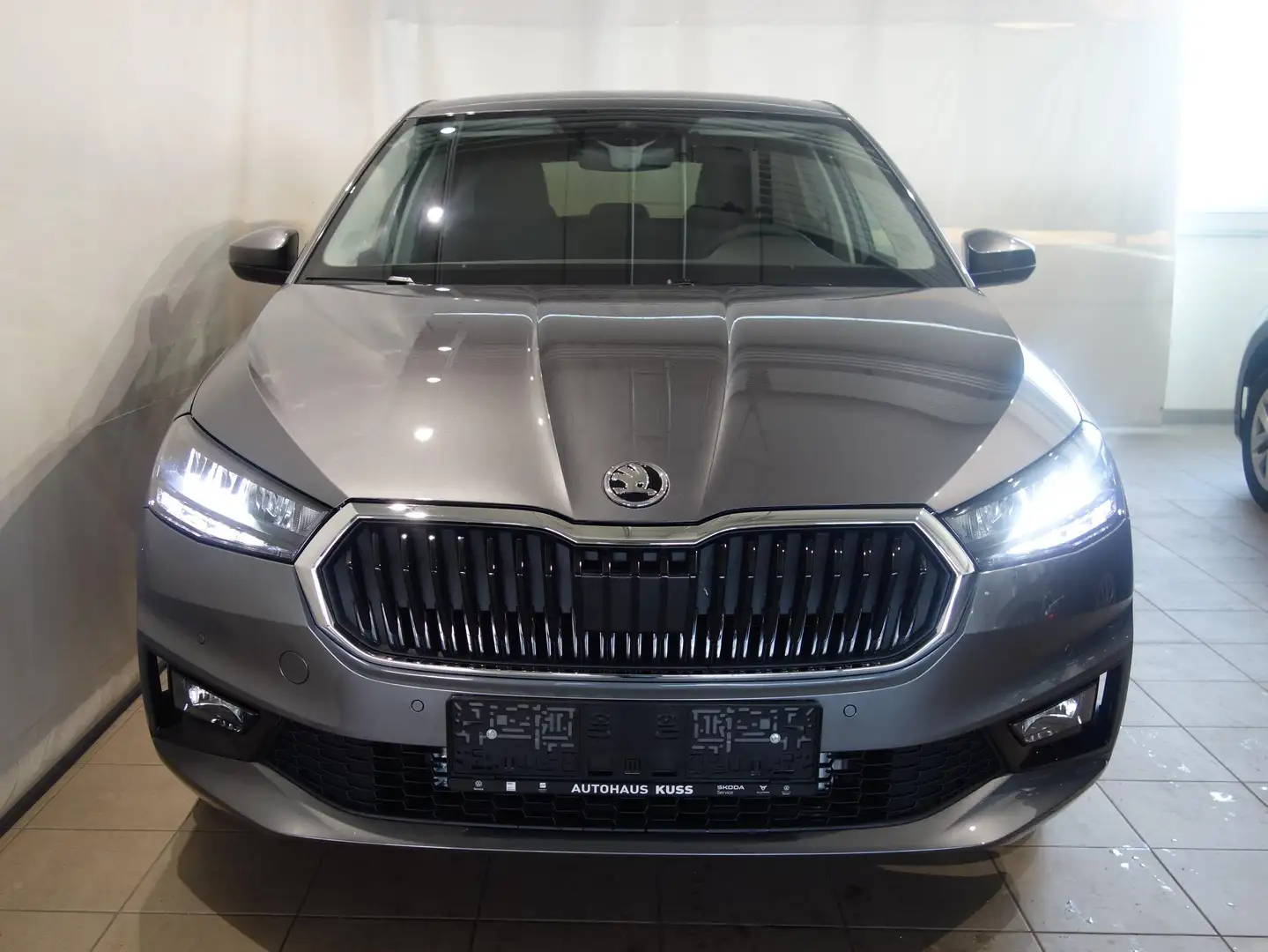 Skoda Fabia Selection TSI DSG/Anhängerkupplung Grau - 2