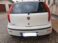 Fiat Punto Punto II 2003 5p 1.2 Classic Active Bianco - thumbnail 3