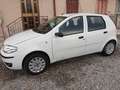 Fiat Punto Punto II 2003 5p 1.2 Classic Active Bianco - thumbnail 2