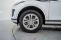 Land Rover Range Rover Evoque 2.0D MHEV S AWD Aut. 150 Blanc - thumbnail 10