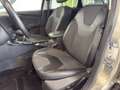 Ford Focus 5p 1.5 ecoboost Titanium X Beige - thumbnail 9