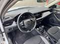Skoda Kamiq 1.5 TSI ACT Sport Business Blanco - thumbnail 14