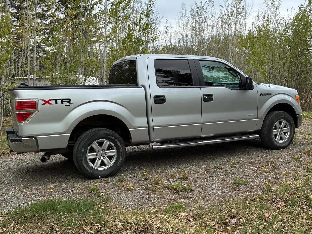 2013 Ford F 150