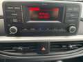 Kia Picanto 1.0 Edition 7 SHZ Blu/Azzurro - thumbnail 13