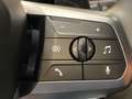 BMW 218 218i AT  M-Sport, H&K, Aktivsitze, DAPro, Gris - thumbnail 19