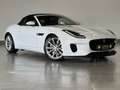 Jaguar F-Type F-TYPE Cabriolet*NAVI*RFK*S-HEFT Blanc - thumbnail 2